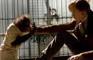 Charlies Darwin film may be too controversial for religious America (image)