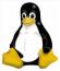 Linux on School Desktops (image)