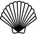 Scallop shell image